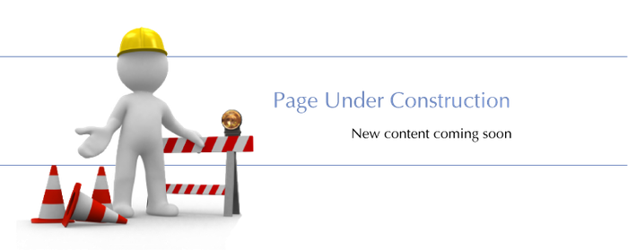 Disclaimer Engelse site